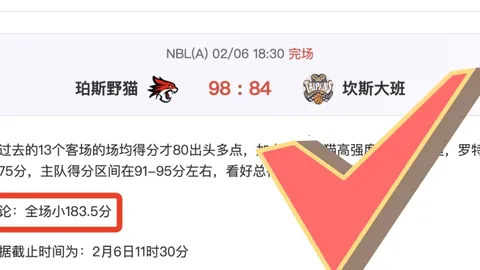 森林狼五连胜击败马刺