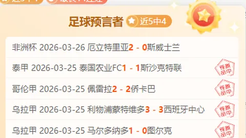 篮球盛宴：尼克斯对决掘金，揭秘NBA焦点战背后的精彩看点！