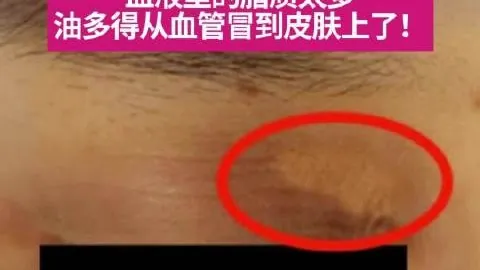 2027年国际级裁判申报名单公布：马宁与麦麦提江领衔入选，权威公示详情